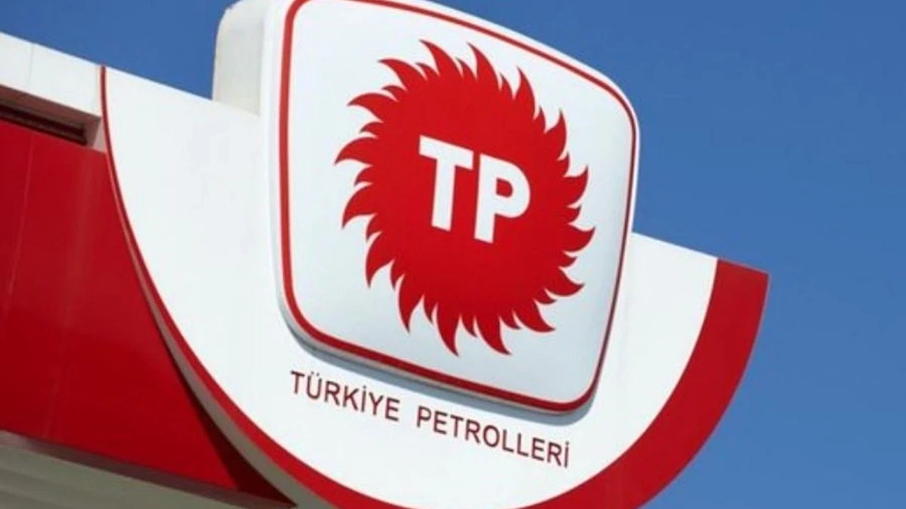 tpao-ruhsat